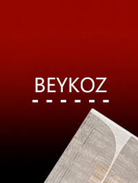 BEYKOZ