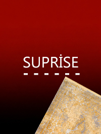 SUPRİSE SUPRİSE